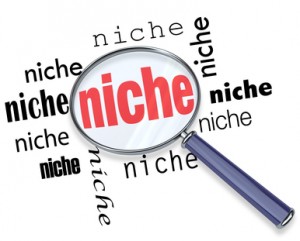 Finding a Targeted Niche